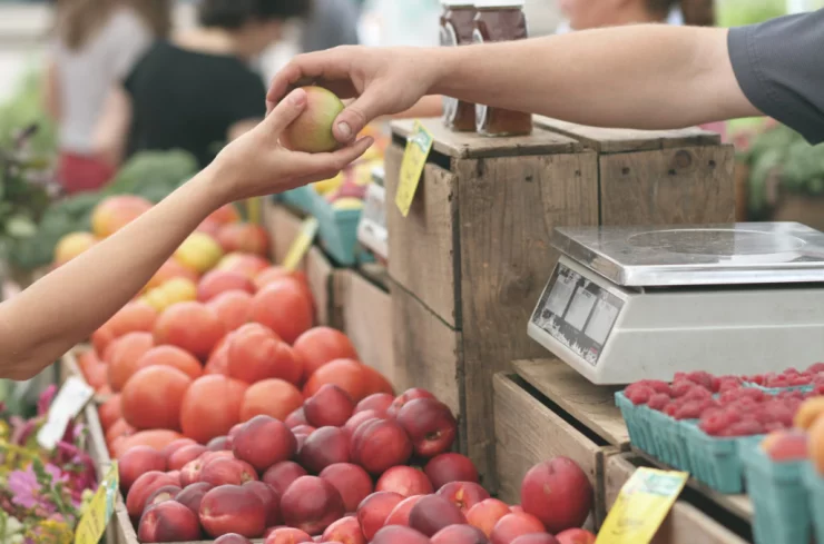 MojeTrhy.cz: Nepomucké farmářské a řemeslné trhy září 2023